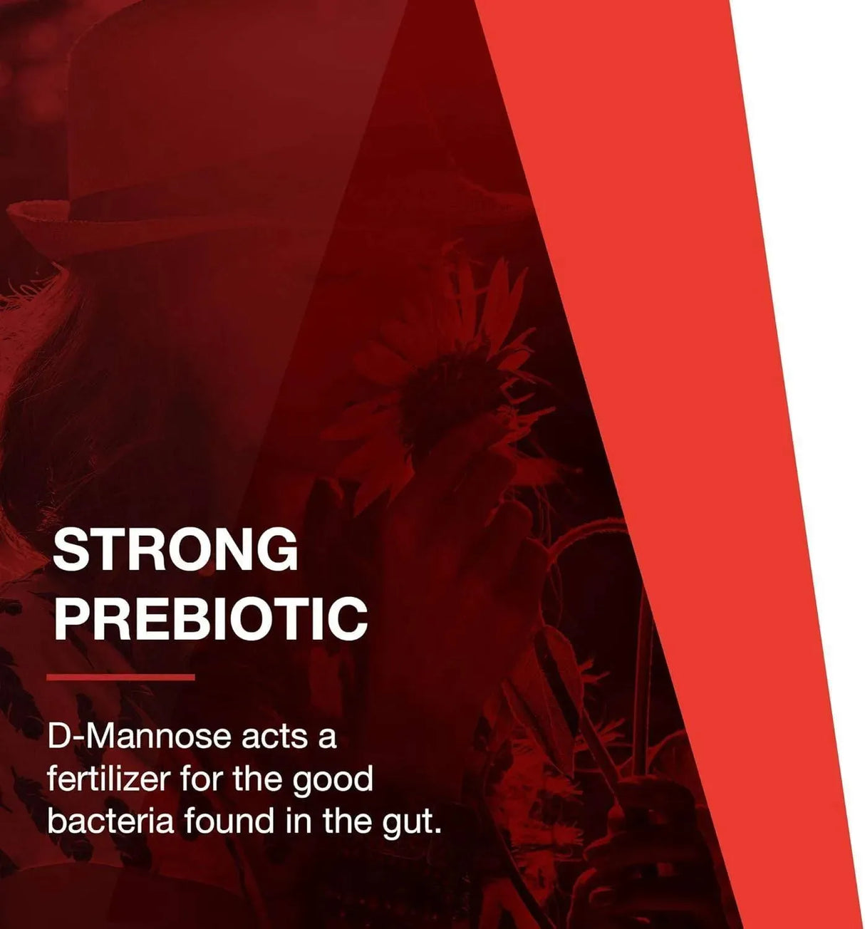 PROTOCOL FOR LIFE BALANCE - Protocol D-Mannose Powder 85Gr. - The Red Vitamin MX - Suplementos Alimenticios - {{ shop.shopifyCountryName }}