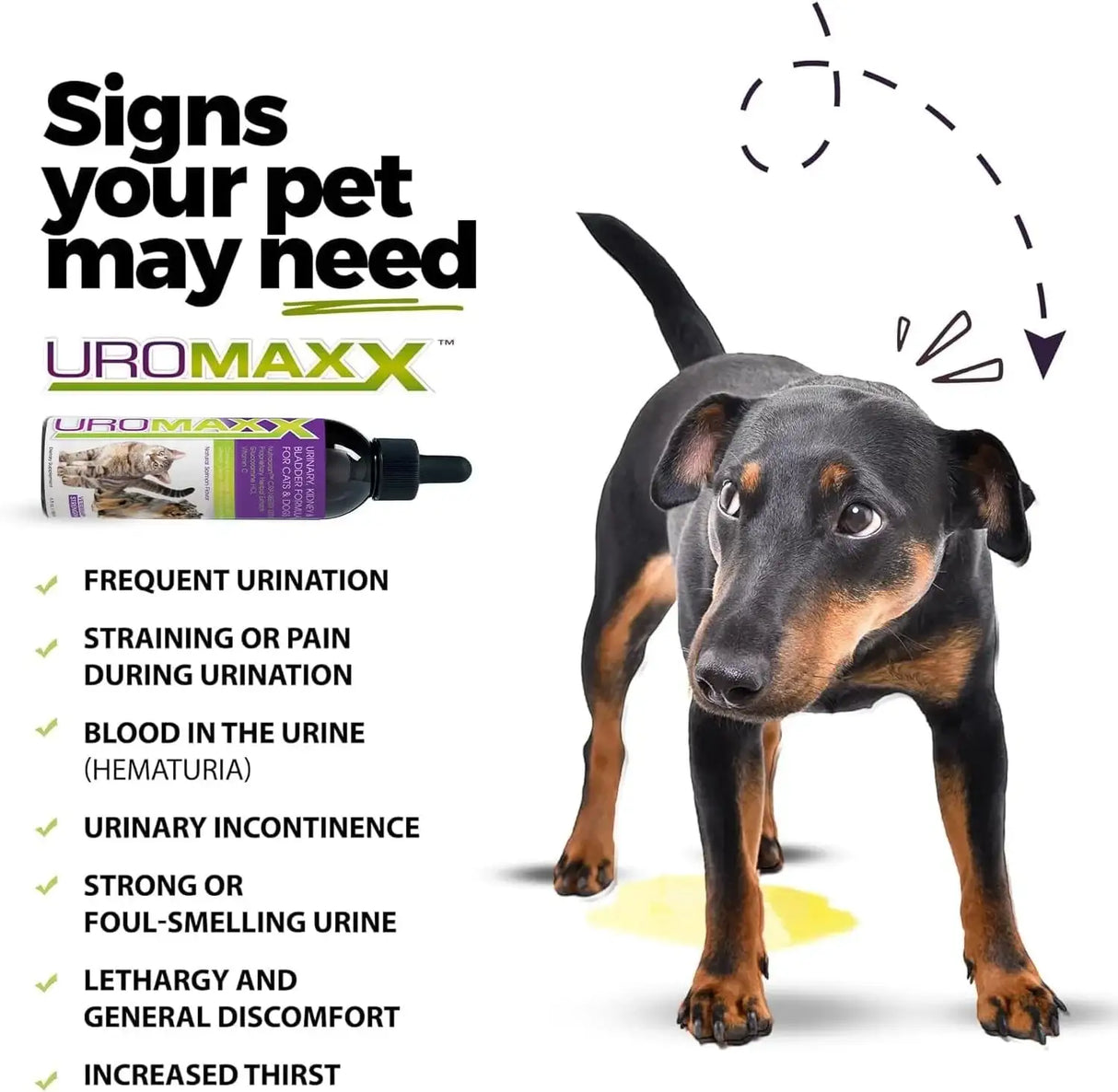 UROMAXX - UroMAXX Cat & Dog Urinary Tract Treatment Salmon Flavor 6 Fl.Oz. - The Red Vitamin MX - Salud De Tracto Urinario Para Perros - {{ shop.shopifyCountryName }}