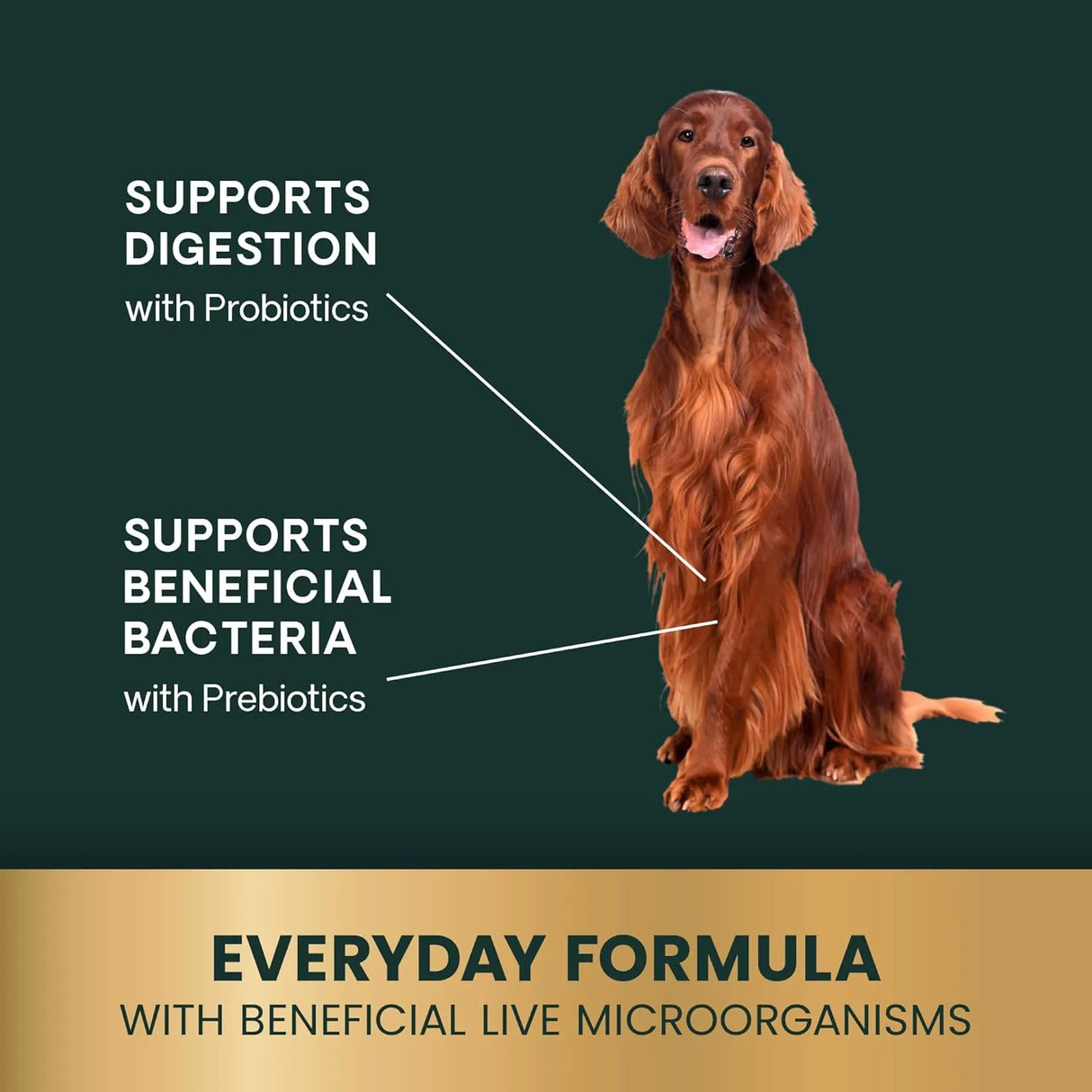 VETRISCIENCE - VetriScience Gut Health Chews Probiotic Everyday Digestive 120 Masticables - The Red Vitamin MX - Probióticos Para Perros - {{ shop.shopifyCountryName }}