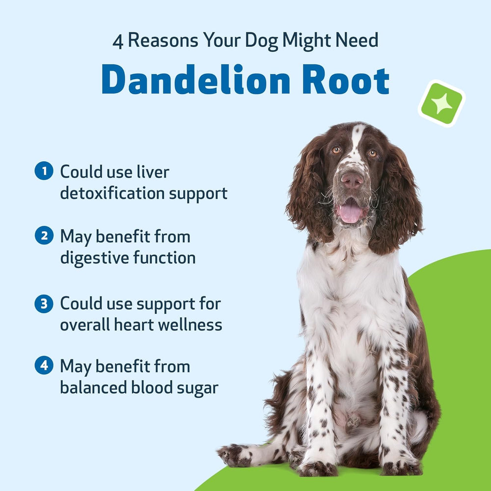 Pet Wellbeing Dandelion Root for Dogs Liver & Heart Health 2 Fl.Oz.