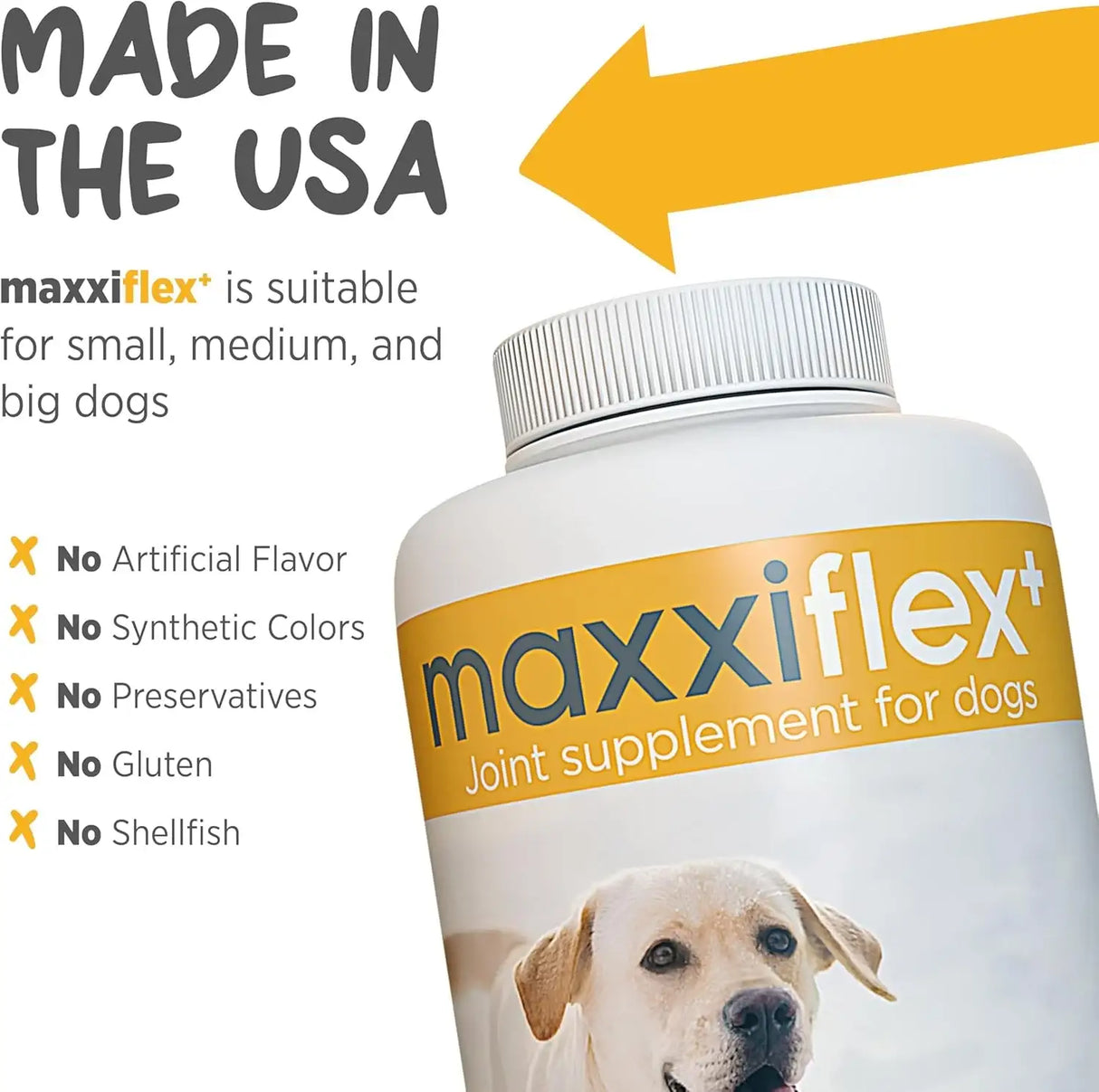 MAXXIPAWS - maxxipaws maxxiflex+ Hip & Joint Supplement for Dogs 120 Tabletas - The Red Vitamin MX - Cuidado De Cadera Y Articulaciones Para Perros - {{ shop.shopifyCountryName }}