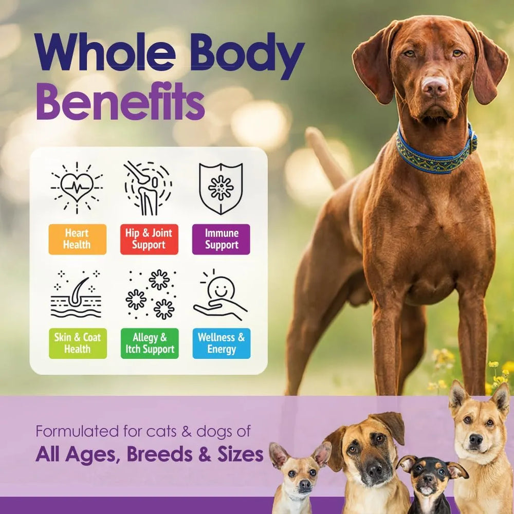 NULIFE - NuLife Natural Pet Health Dog Multivitamin 22-in-1 Support 60 Masticables - The Red Vitamin MX - Multivitamínicos Para Perros - {{ shop.shopifyCountryName }}