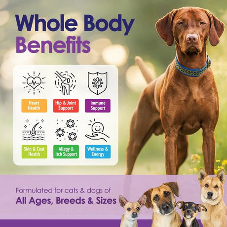 NULIFE - NuLife Natural Pet Health Dog Multivitamin 22-in-1 Support 60 Masticables - The Red Vitamin MX - Multivitamínicos Para Perros - {{ shop.shopifyCountryName }}