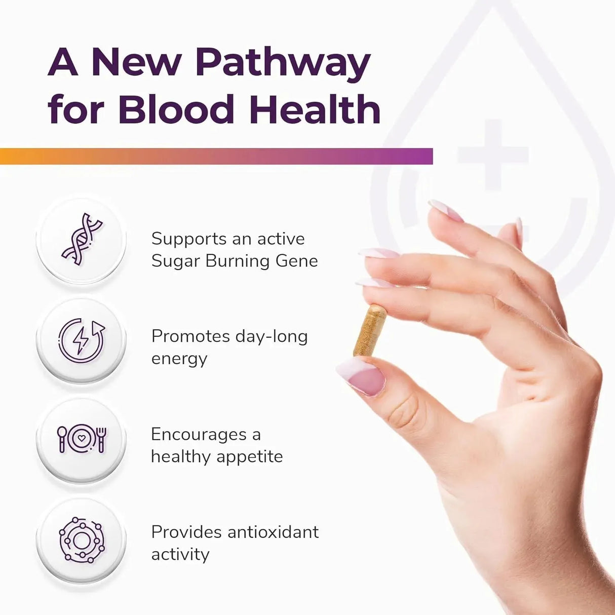 BRIGHT NATURALS - Glucobalance Pro Ceylon Cinnamon Blood Balance 60 Capsulas - The Red Vitamin MX - Suplementos Alimenticios - {{ shop.shopifyCountryName }}