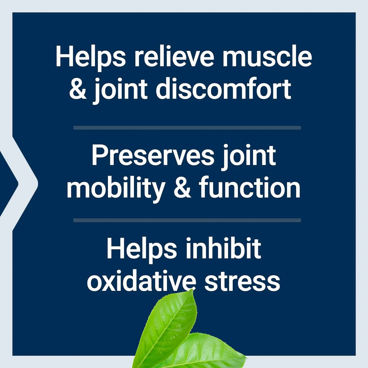 LIFE EXTENSION - Life Extension MSM 1000Mg. 100 Capsulas - The Red Vitamin MX - Suplementos Alimenticios - {{ shop.shopifyCountryName }}