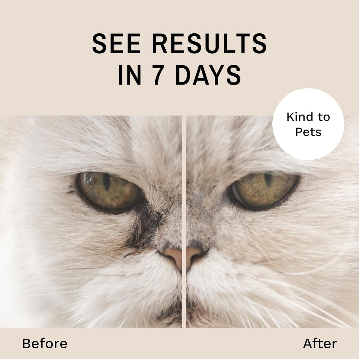 Eye Envy Cat Tear Stain Remover Starter Kit