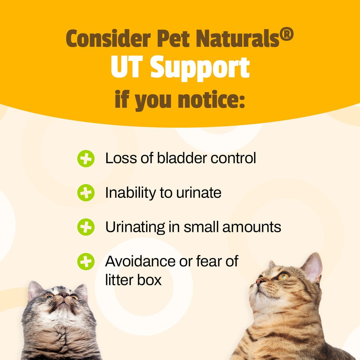Pet Naturals UT Support Urinary Tract Supplement for Cats 60 Masticables