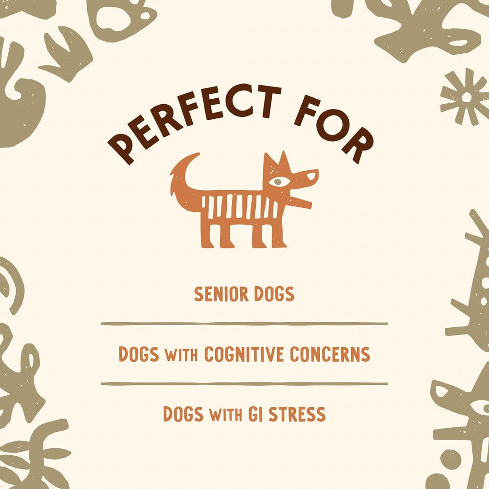 CAVE PETS - Cave Pets Super Blend Powder Lion’s Mane & Probiotics 90 Servicios 90Gr. - The Red Vitamin MX - Suplementos Herbales Para Perros - {{ shop.shopifyCountryName }}