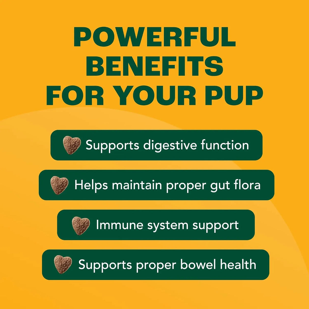 FURTIFY - Furtify Probiotics for Dogs with Prebiotics, Fiber, Chicory Root & Pumpkin 90 Masticables - The Red Vitamin MX - Probióticos Para Perros - {{ shop.shopifyCountryName }}