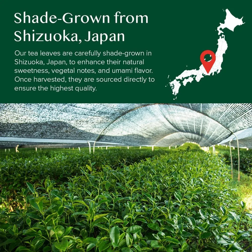 VAHDAM - VAHDAM Matcha Green Tea Powder 25Gr. - The Red Vitamin MX - Suplementos Alimenticios - {{ shop.shopifyCountryName }}