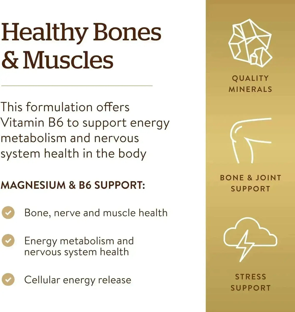 SOLGAR - Solgar Magnesium with Vitamin B6 250 Tabletas - The Red Vitamin MX - Suplementos Alimenticios - {{ shop.shopifyCountryName }}