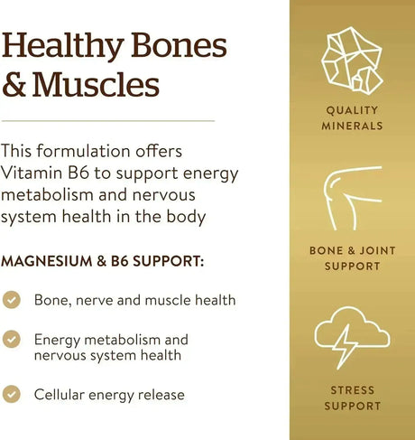 SOLGAR - Solgar Magnesium with Vitamin B6 250 Tabletas - The Red Vitamin MX - Suplementos Alimenticios - {{ shop.shopifyCountryName }}