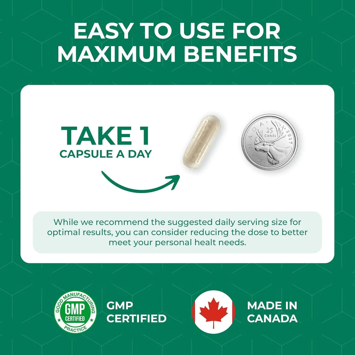 ELAN HEALTHCARE - Elan Healthcare White Kidney Bean Extract 60 Capsulas - The Red Vitamin MX - Suplementos Alimenticios - {{ shop.shopifyCountryName }}