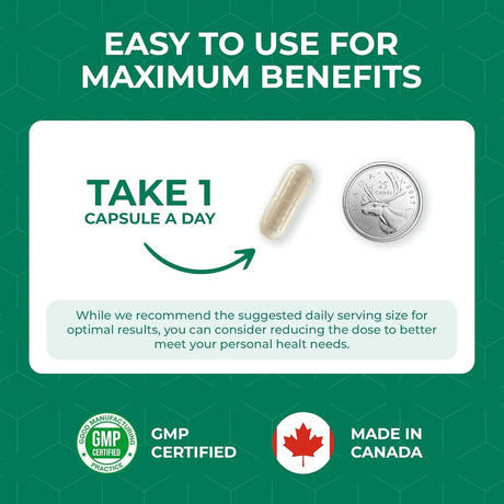 ELAN HEALTHCARE - Elan Healthcare White Kidney Bean Extract 60 Capsulas - The Red Vitamin MX - Suplementos Alimenticios - {{ shop.shopifyCountryName }}