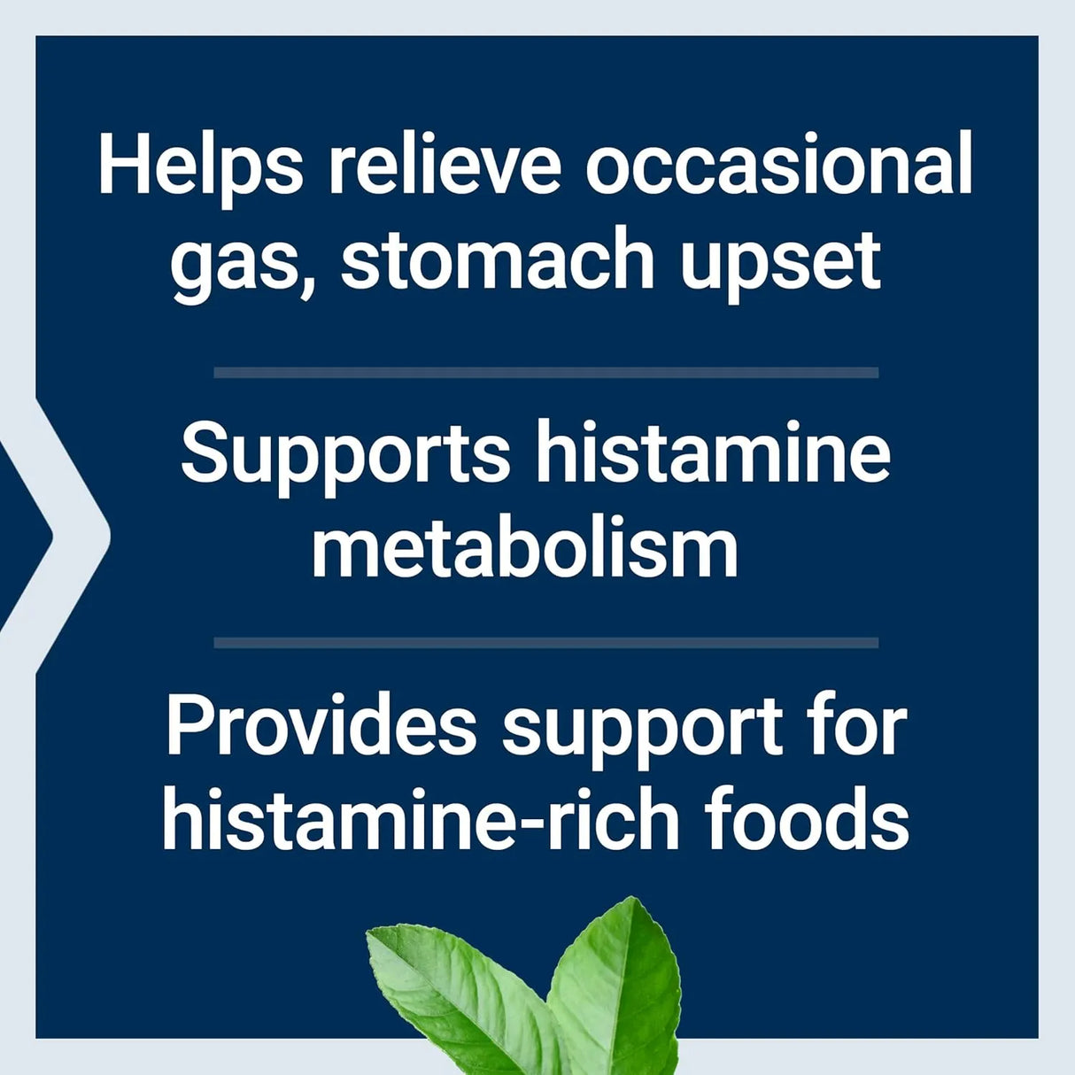 LIFE EXTENSION - Life Extension Food Sensitivity Relief with Diamine Oxidase 60 Capsulas - The Red Vitamin MX - Suplementos Alimenticios - {{ shop.shopifyCountryName }}