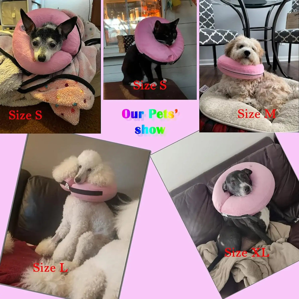 KATOGGY - Katoggy Inflatable Dog Collar PINK LARGE - The Red Vitamin MX - Collares y Conos De Recuperación Para Perros - {{ shop.shopifyCountryName }}