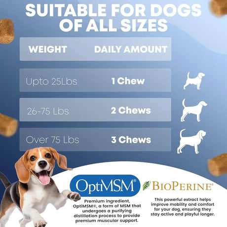 FURRY FUELS - FURRY FUELS Hip and Joint Supplement for Dogs 120 Masticables - The Red Vitamin MX - Cuidado De Cadera Y Articulaciones Para Perros - {{ shop.shopifyCountryName }}