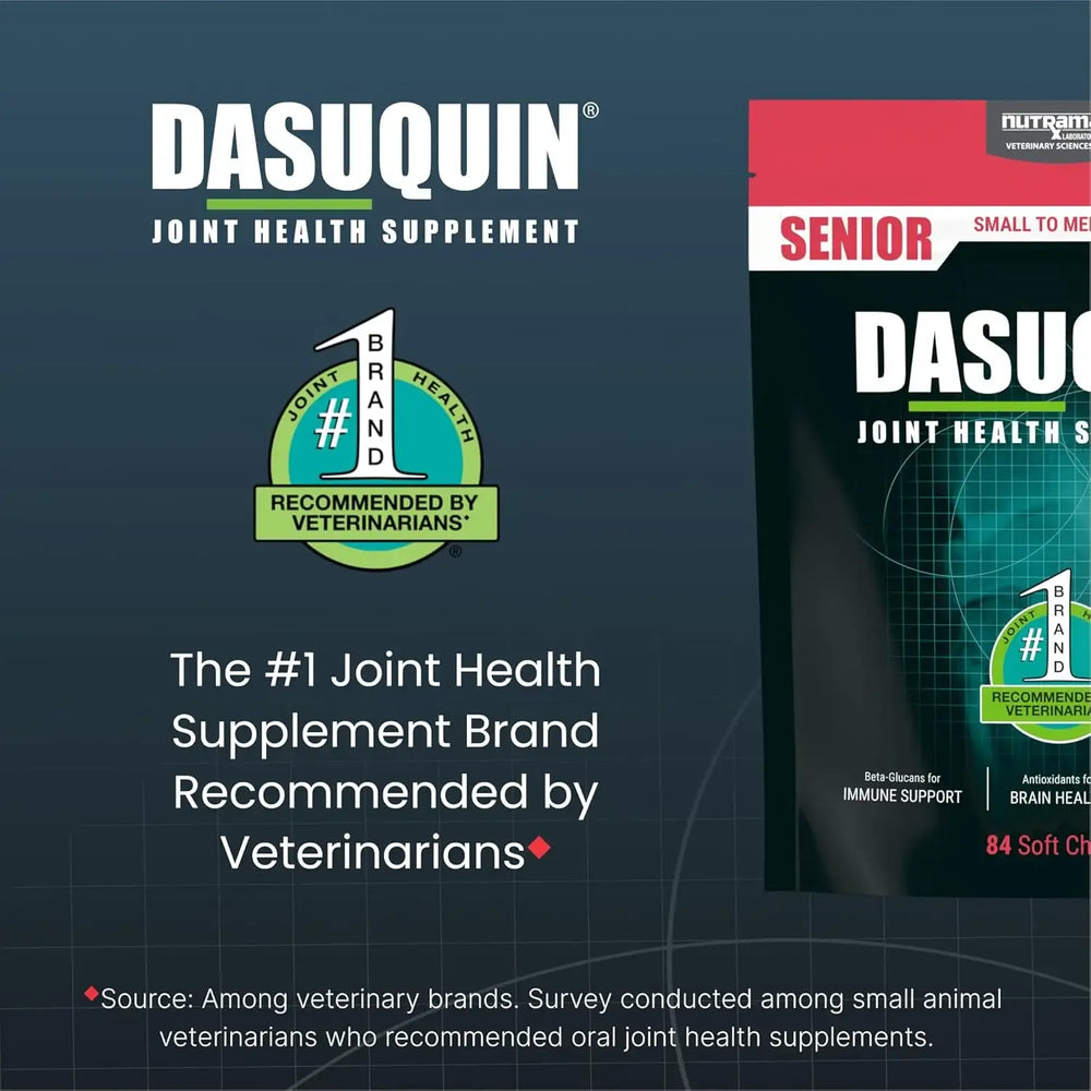 NUTRAMAX - Nutramax Dasuquin Joint Health Supplement for Small to Medium Senior Dogs 84 Masticables - The Red Vitamin MX - Cuidado De Cadera Y Articulaciones Para Perros - {{ shop.shopifyCountryName }}