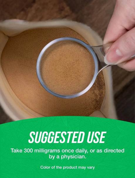 BULK SUPPLEMENTS - Bulk Supplements Feverfew Extract Powder 500Gr. - The Red Vitamin MX - Suplementos Alimenticios - {{ shop.shopifyCountryName }}