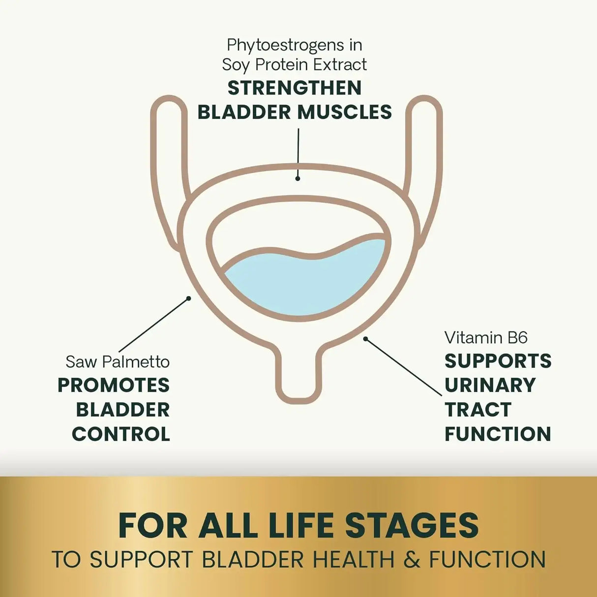 VETRISCIENCE - VetriScience Bladder Health Smoke Flavored 90 Tabletas Masticables - The Red Vitamin MX - Salud De Tracto Urinario Para Perros - {{ shop.shopifyCountryName }}