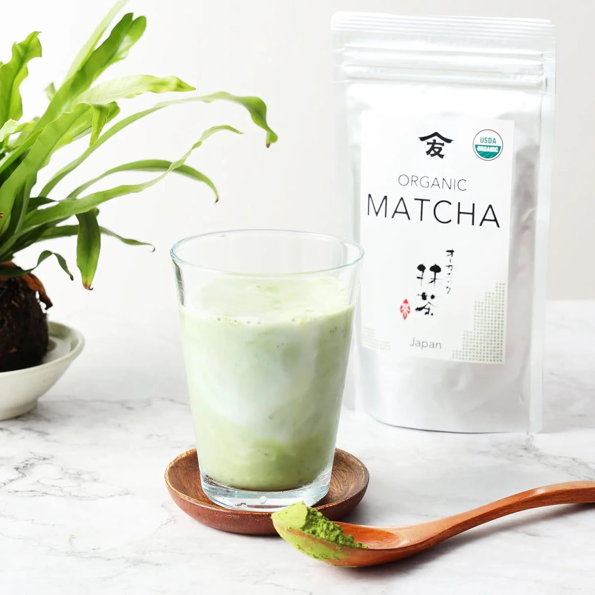 TOMOSAN - TOMOSAN Japanese Organic Matcha 100Gr. - The Red Vitamin MX - Suplementos Alimenticios - {{ shop.shopifyCountryName }}