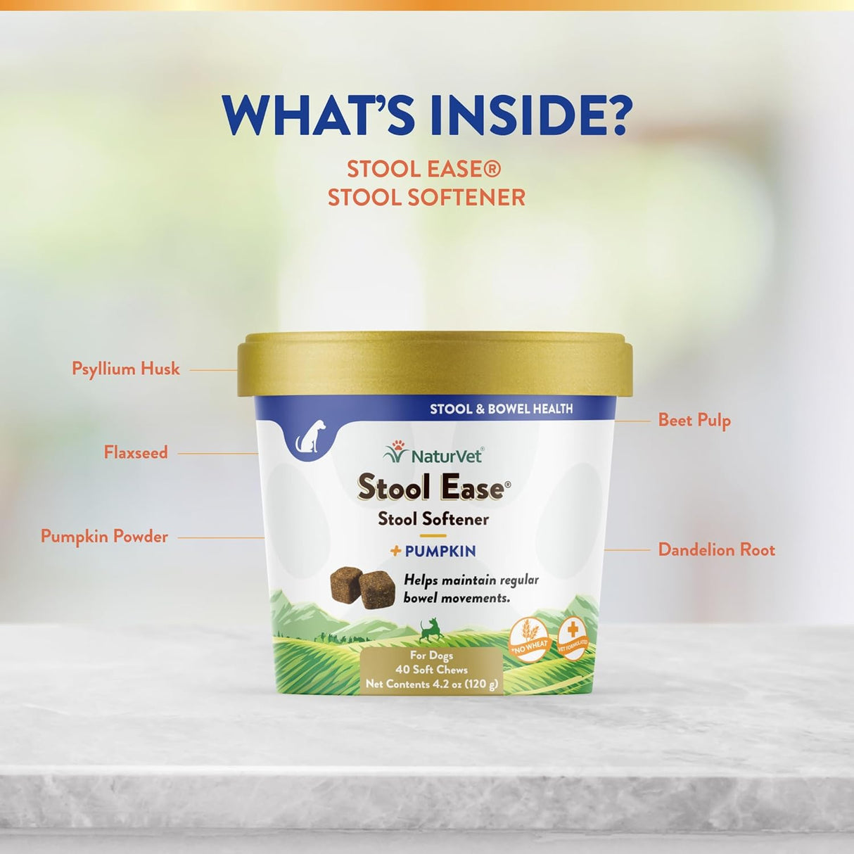 NaturVet Stool Ease for Dogs 40 Masticables