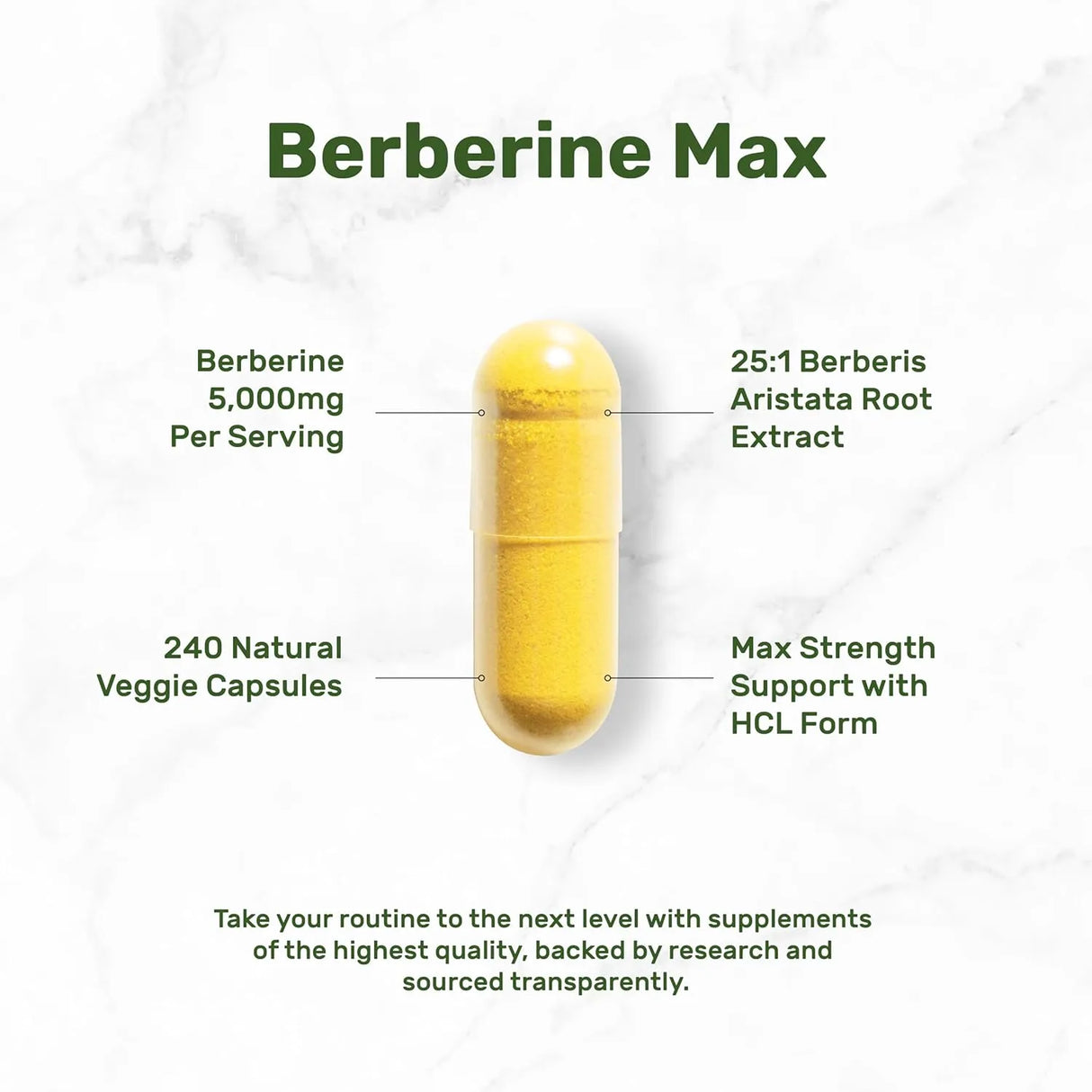 DEAL SUPPLEMENT - Deal Supplement Berberine Max 5,000Mg. 240 Capsulas - The Red Vitamin MX - Suplementos Alimenticios - {{ shop.shopifyCountryName }}