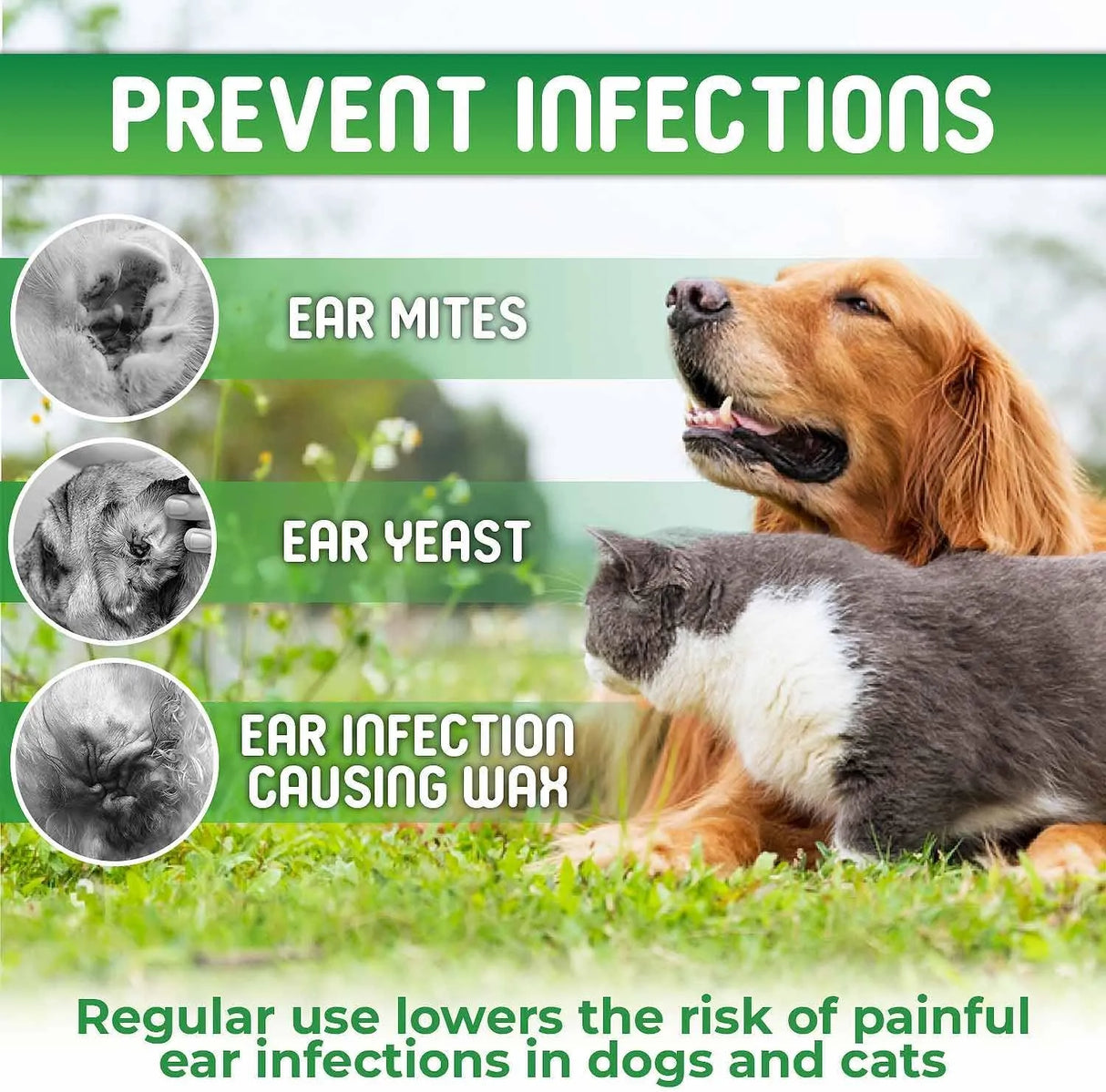 HALLI - HALLI Jamaican Inspired Plant-Based Dog Ear Cleaner with Coconut Oil and Aloe Vera 8 Fl.Oz. - The Red Vitamin MX - Cuidado Del Oído De Perros - {{ shop.shopifyCountryName }}