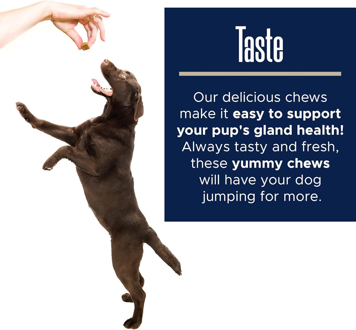 Healthy Pup Glands Bowel Support 120 Masticables