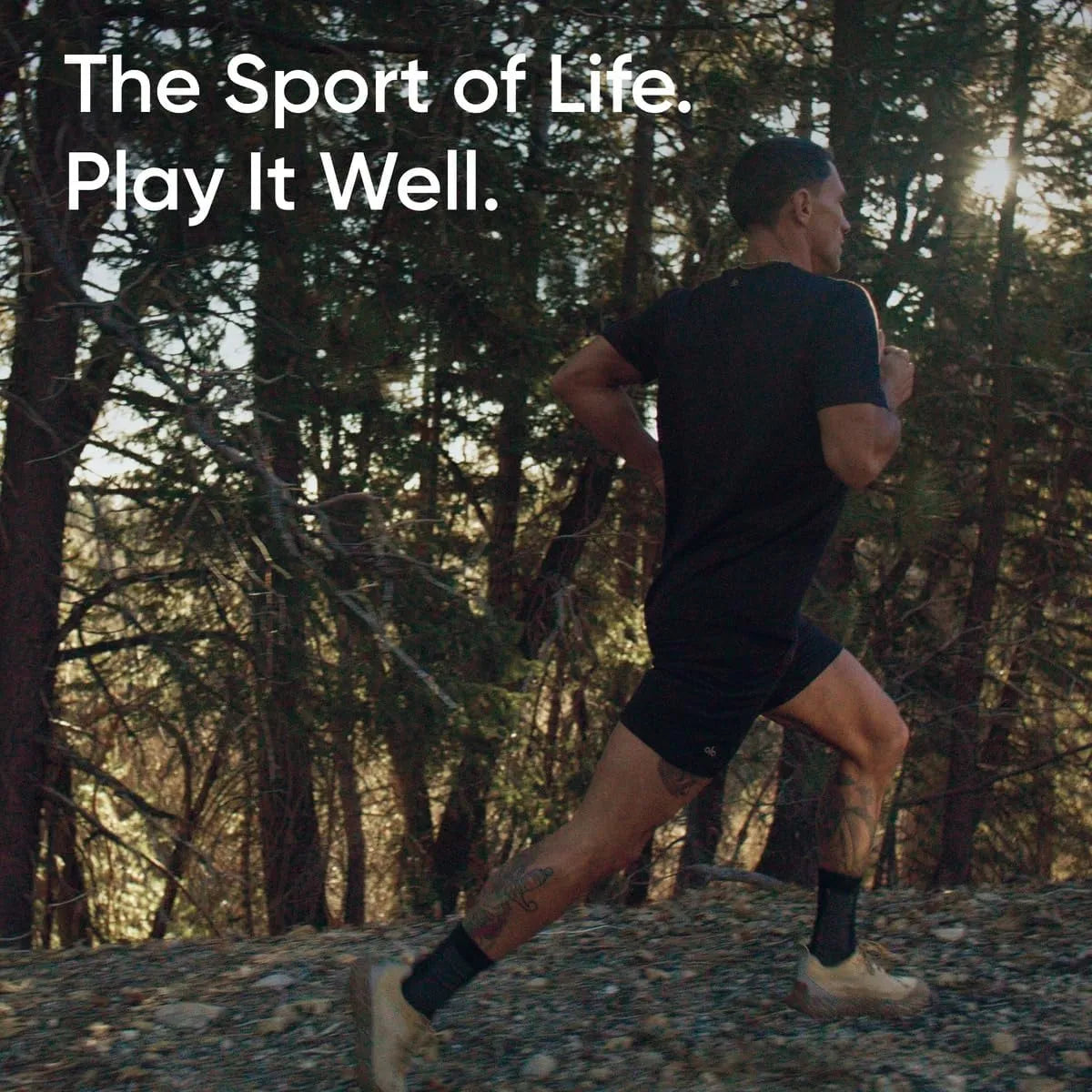 SPORTS RESEARCH - Sports Research Organic MCT Oil Powder 300Gr. - The Red Vitamin MX - Suplementos Alimenticios - {{ shop.shopifyCountryName }}