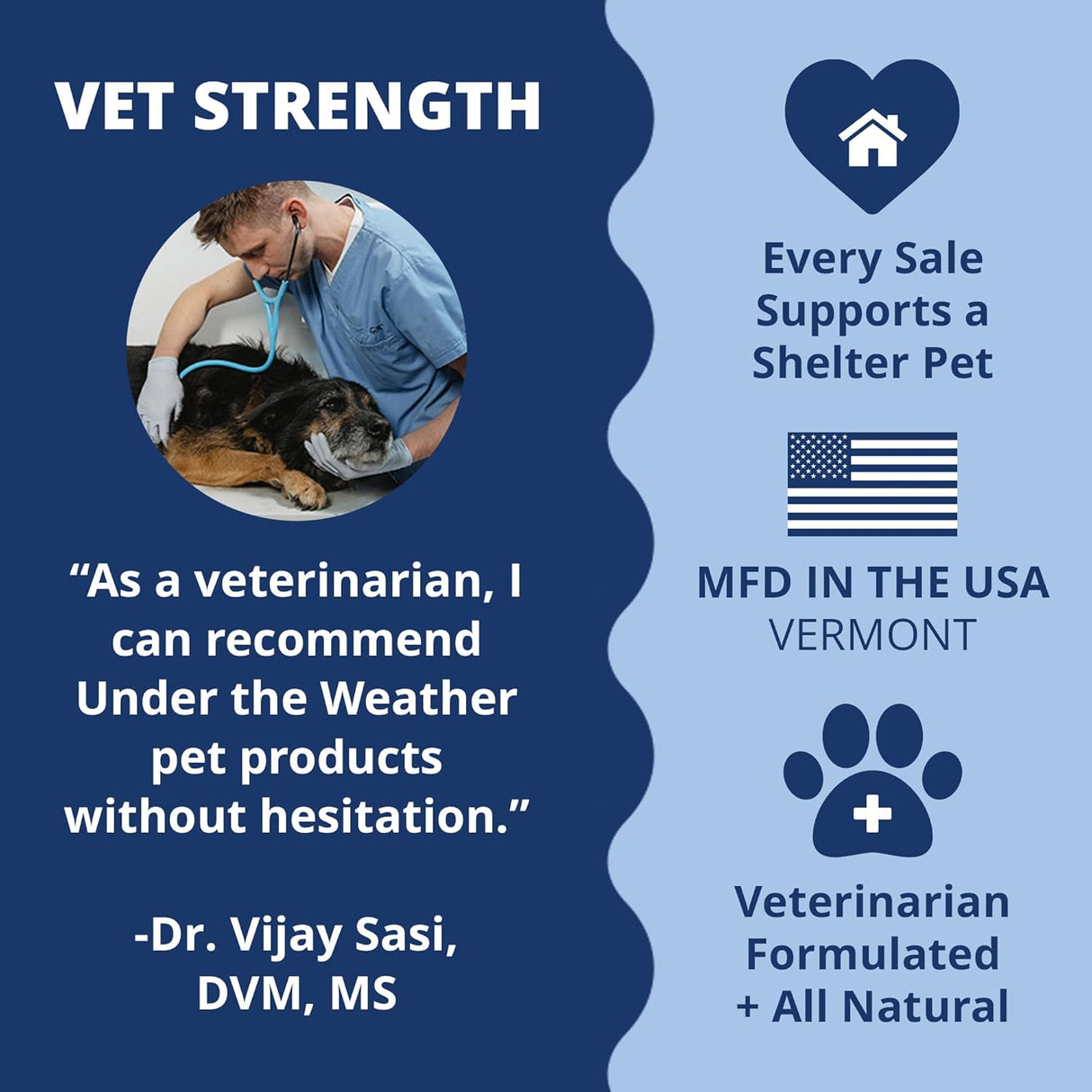 Under The Weather Pet Disc & Spine Health Chews for Dogs 60 Masticables