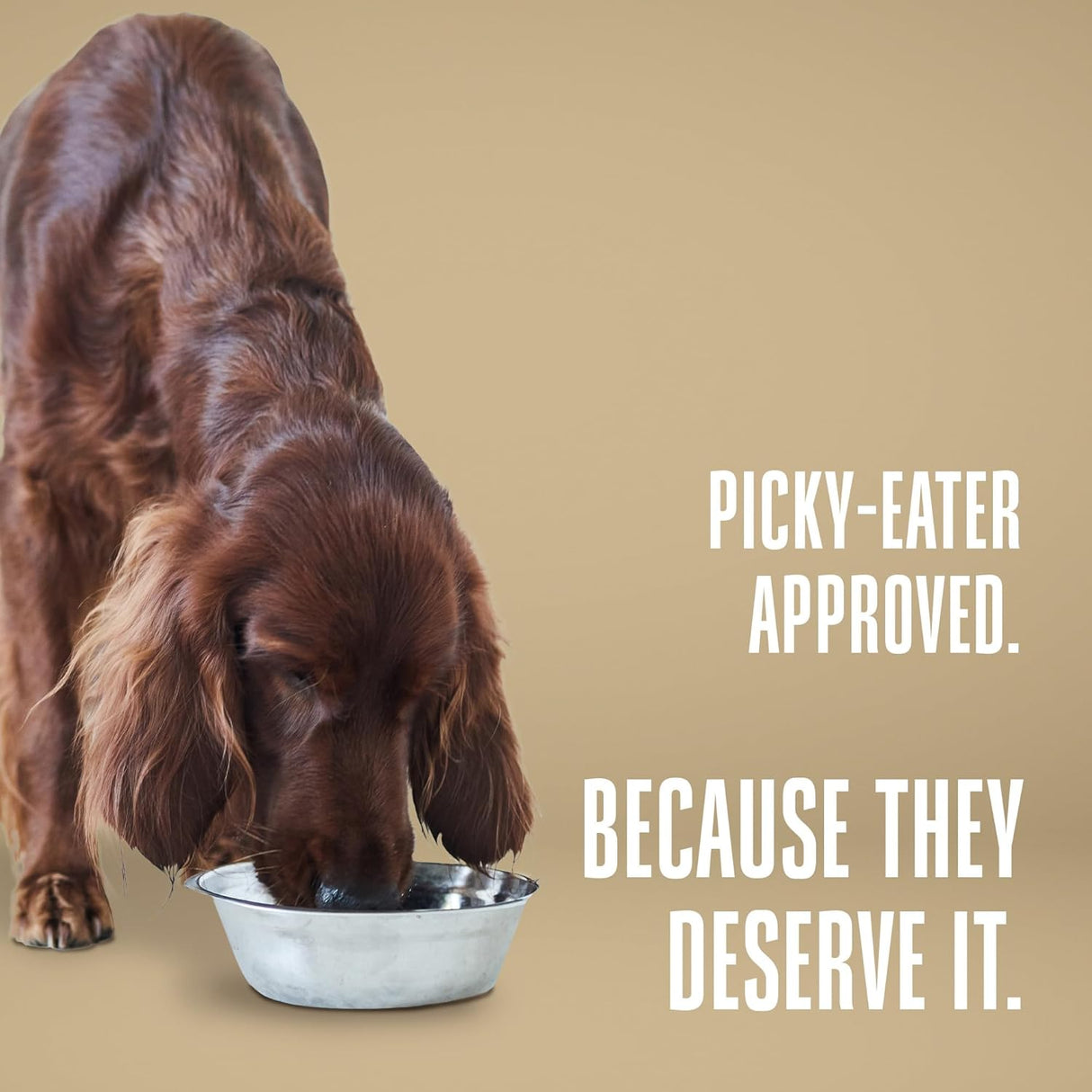 Whole Life Dog Healthy Skin and Coat 90 Servicios 340Gr.