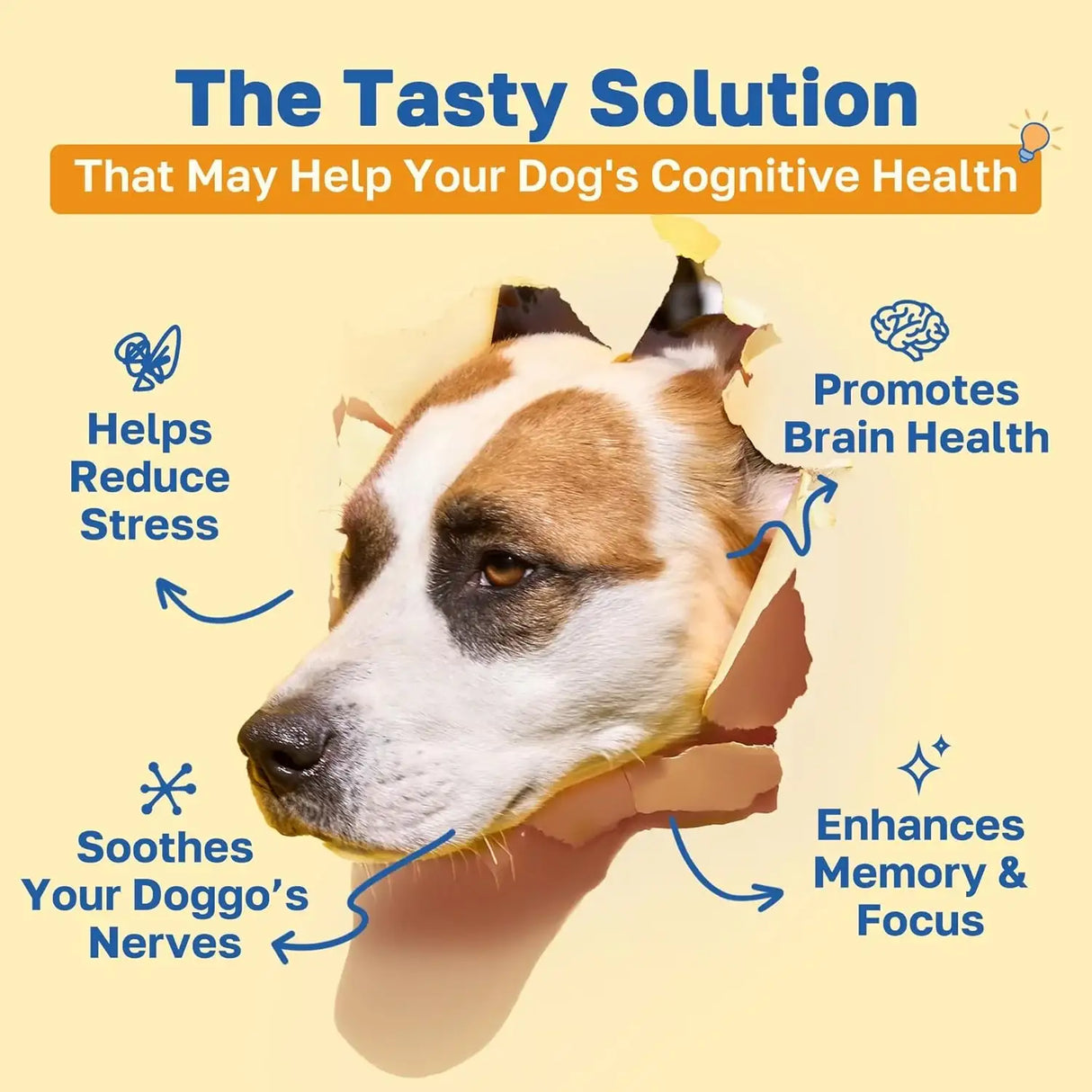 HAPPY PAWS - Happy Paws Cognitive Supplement for Dogs 100 Masticables 2 Pack - The Red Vitamin MX - Multivitamínicos Para Perros - {{ shop.shopifyCountryName }}