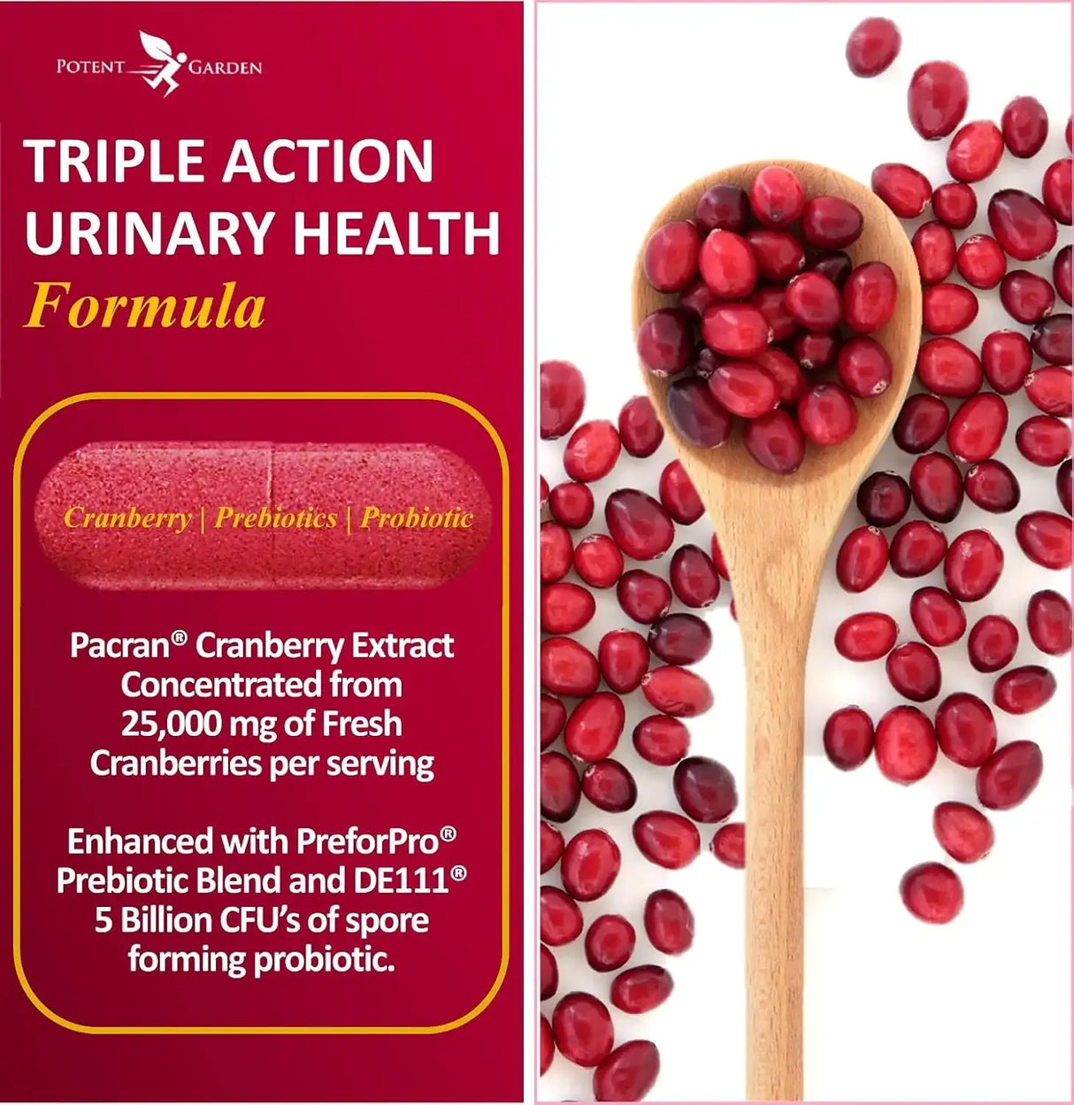 POTENT GARDEN - Potent Garden Urinary Support 60 Capsulas - The Red Vitamin MX - Suplementos Alimenticios - {{ shop.shopifyCountryName }}