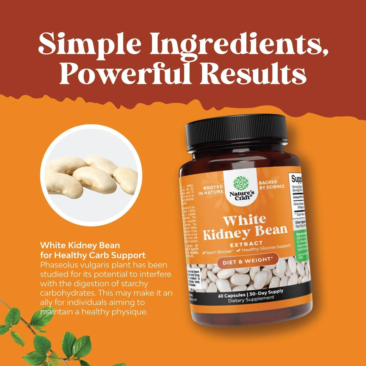 NATURES CRAFT - Natures Craft Natural White Kidney Bean Extract 60 Capsulas - The Red Vitamin MX - Suplementos Alimenticios - {{ shop.shopifyCountryName }}
