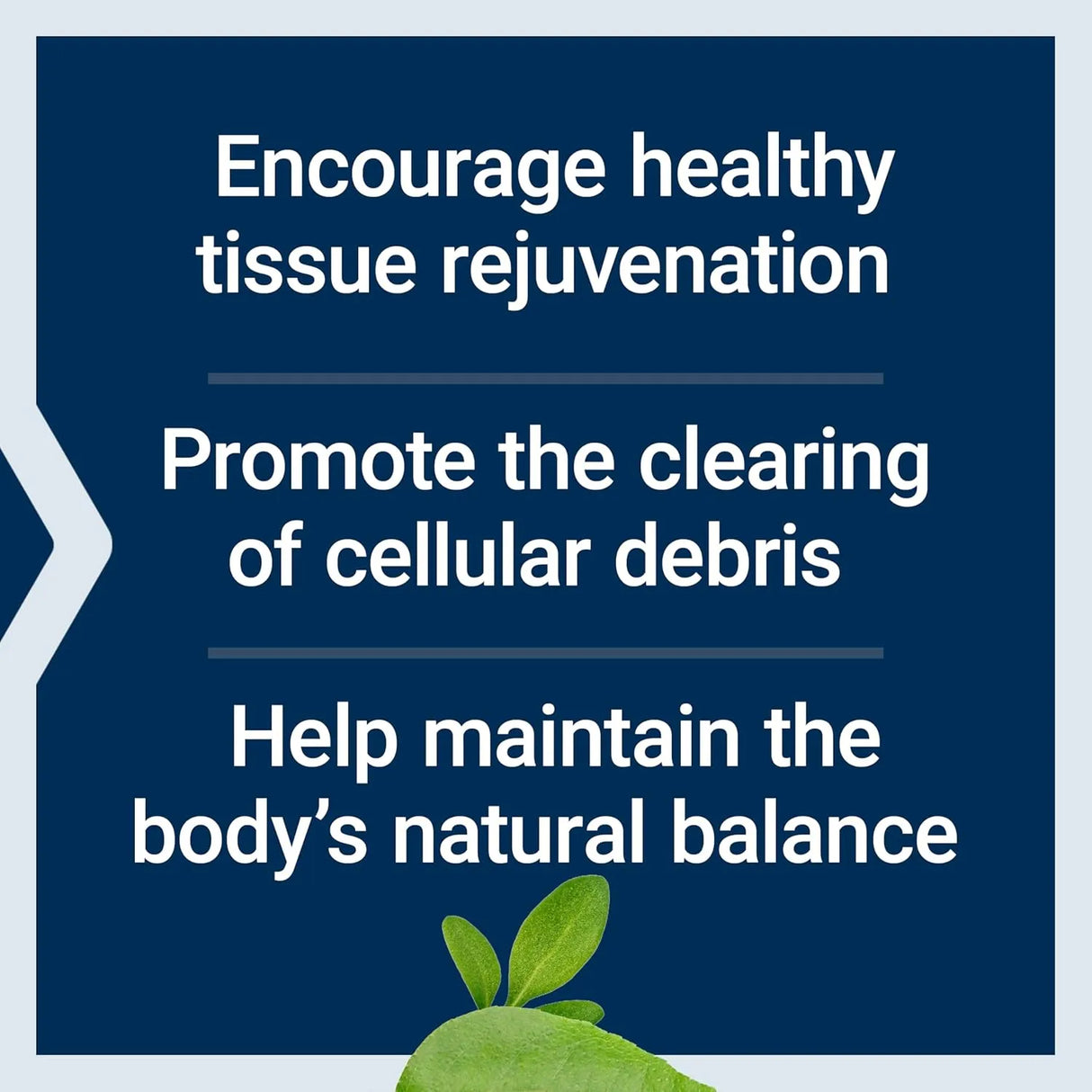 LIFE EXTENSION - Life Extension Pro-Resolving Mediators 30 Capsulas Blandas - The Red Vitamin MX - Suplementos Alimenticios - {{ shop.shopifyCountryName }}