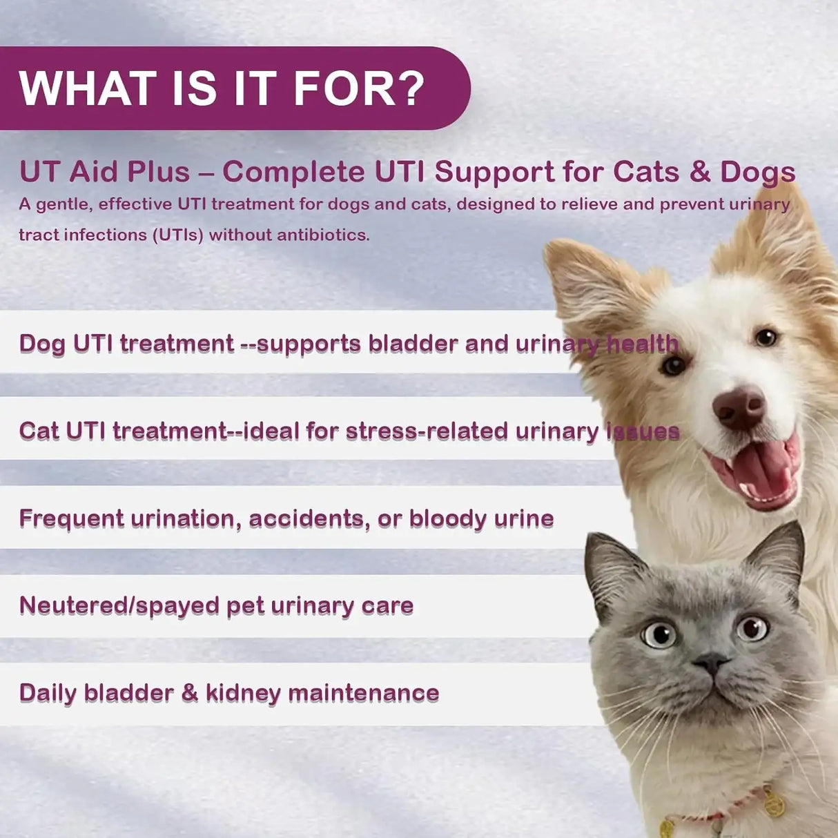 NUTRIARISE - NUTRIARISE UT Aid Plus Cat & Dog UTI Treatment 30 Capsulas - The Red Vitamin MX - Salud De Tracto Urinario Para Perros - {{ shop.shopifyCountryName }}