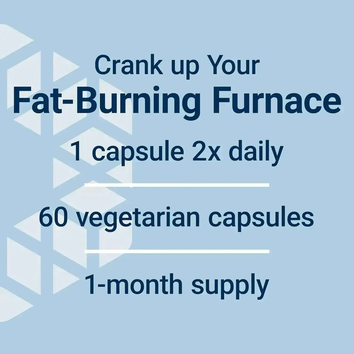 LIFE EXTENSION - Life Extension 7-Keto DHEA Metabolite 100Mg. 60 Capsulas - The Red Vitamin MX - Suplementos Alimenticios - {{ shop.shopifyCountryName }}