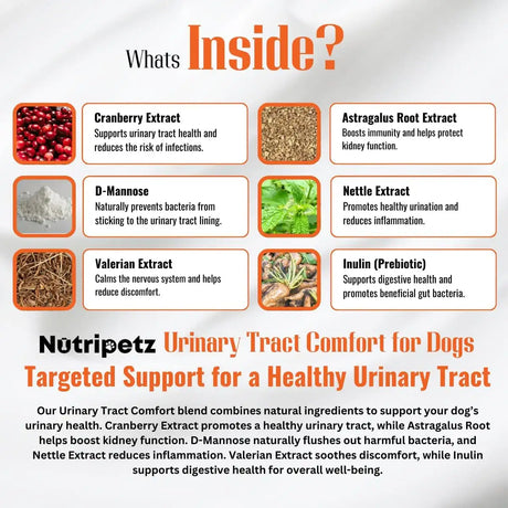NUTRIPETZ - Nutripetz Urinary Comfort Chews for Dogs 120 Masticables - The Red Vitamin MX - Salud De Tracto Urinario Para Perros - {{ shop.shopifyCountryName }}