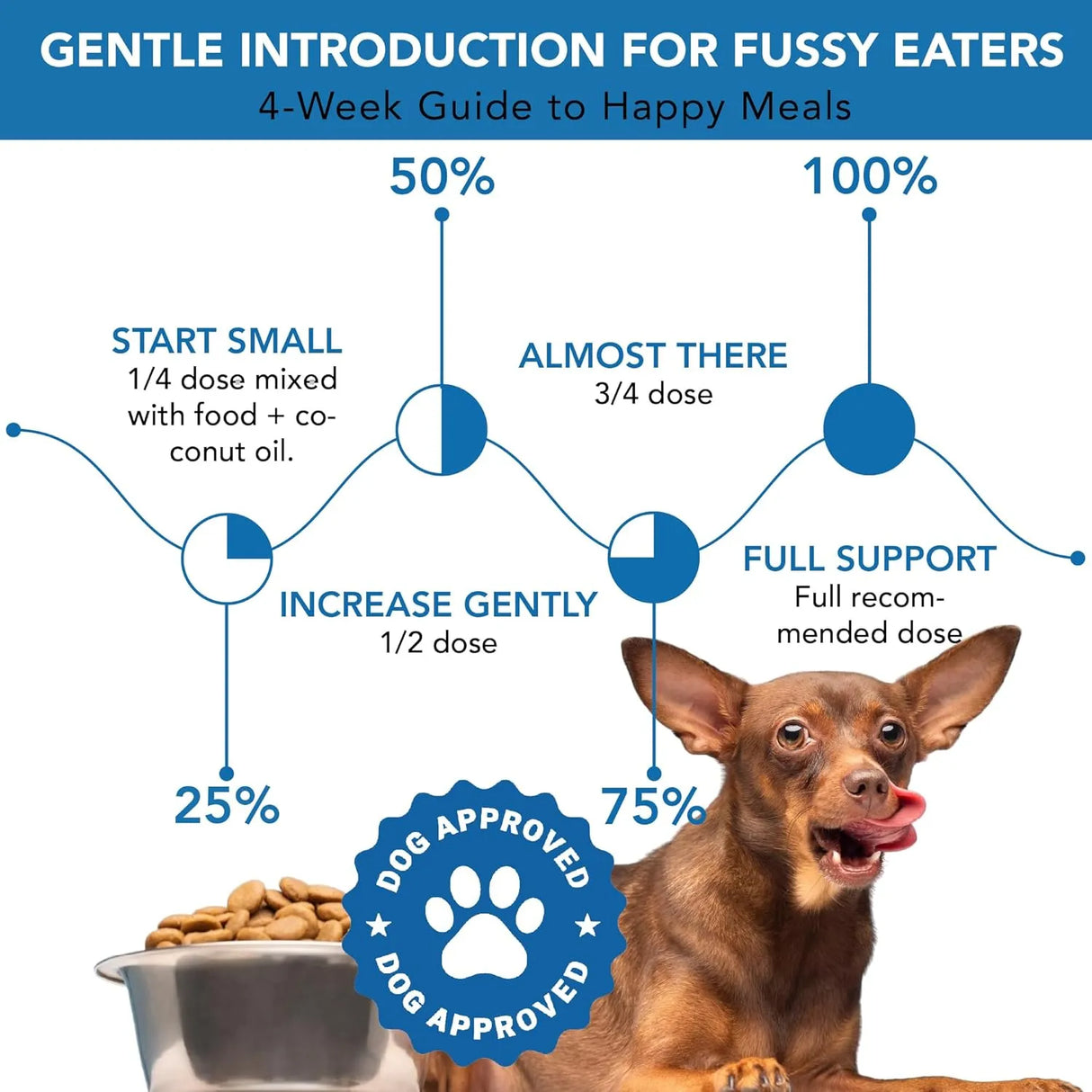 SPANIELBUNS - Spanielbuns Dental Powder for Dogs 80Gr. - The Red Vitamin MX - Cuidado Dental Para Perros - {{ shop.shopifyCountryName }}