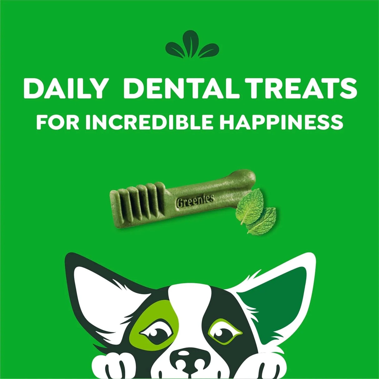 GREENIES - Greenies Petite Natural Dental Care Dog Treats Fresh Flavor 20 Piezas - The Red Vitamin MX - Cuidado Dental Para Perros - {{ shop.shopifyCountryName }}