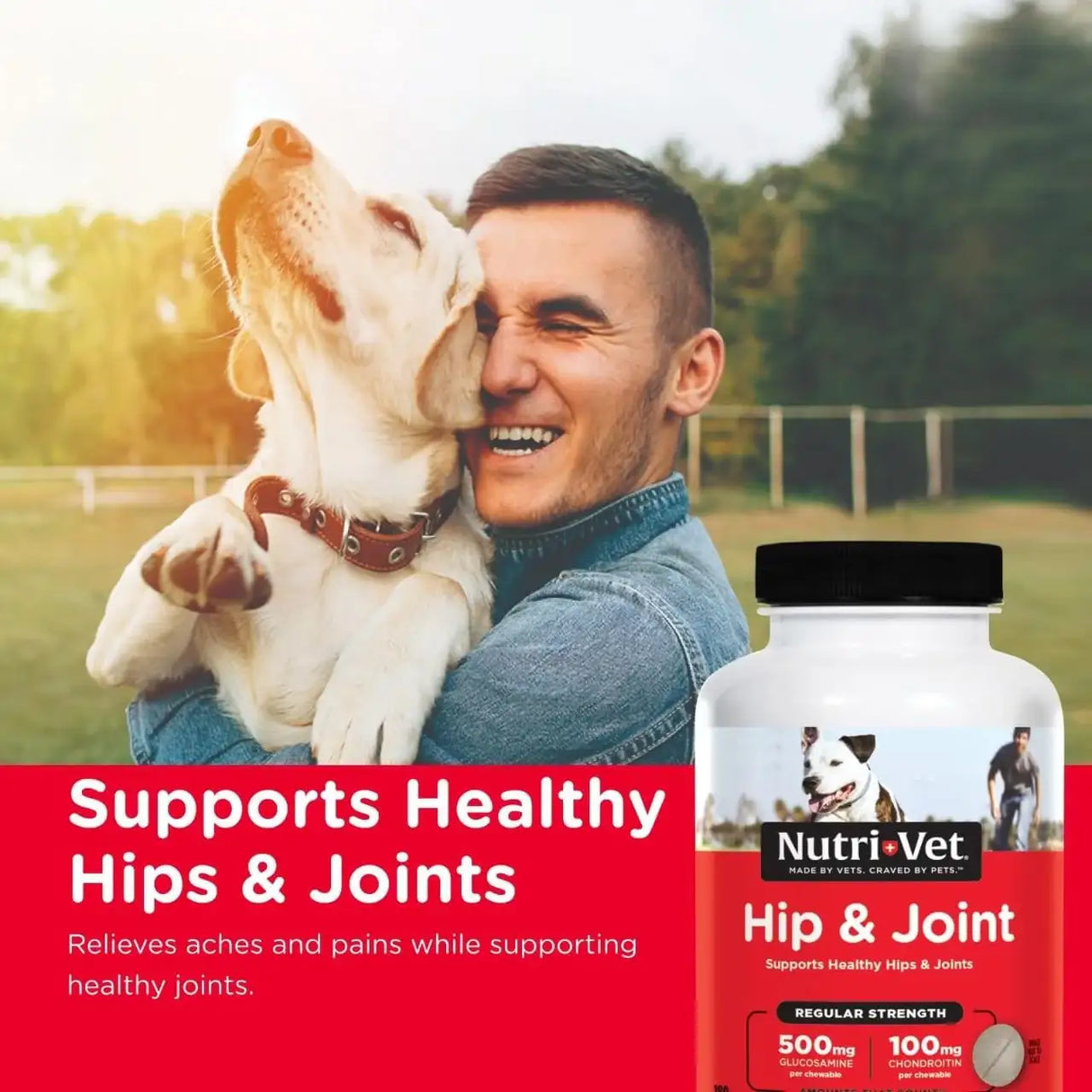 NUTRI-VET - Nutri-Vet Hip & Joint Chewable Dog Regular Strength 180 Tabletas Masticables - The Red Vitamin MX - Cuidado De Cadera Y Articulaciones Para Perros - {{ shop.shopifyCountryName }}