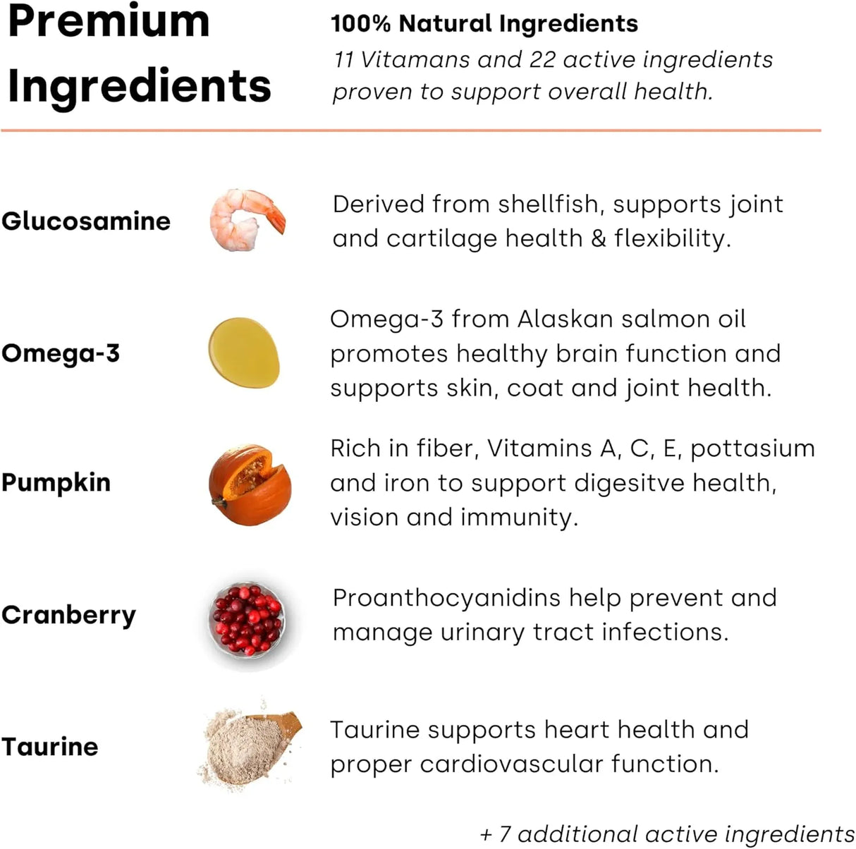 KAYODE - Kayode Daily Multi Dog Multivitamin & Superfood Chew 90 Masticables - The Red Vitamin MX - Multivitamínicos Para Perros - {{ shop.shopifyCountryName }}