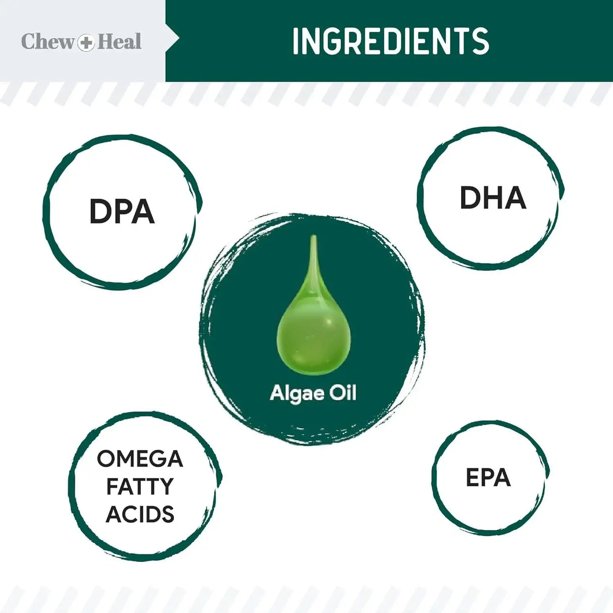 CHEW + HEAL - Chew + Heal Labs Vegan Omega 3 Oil for Dogs 8 Fl.Oz. - The Red Vitamin MX - Aceite De Pescado Para Perros - {{ shop.shopifyCountryName }}