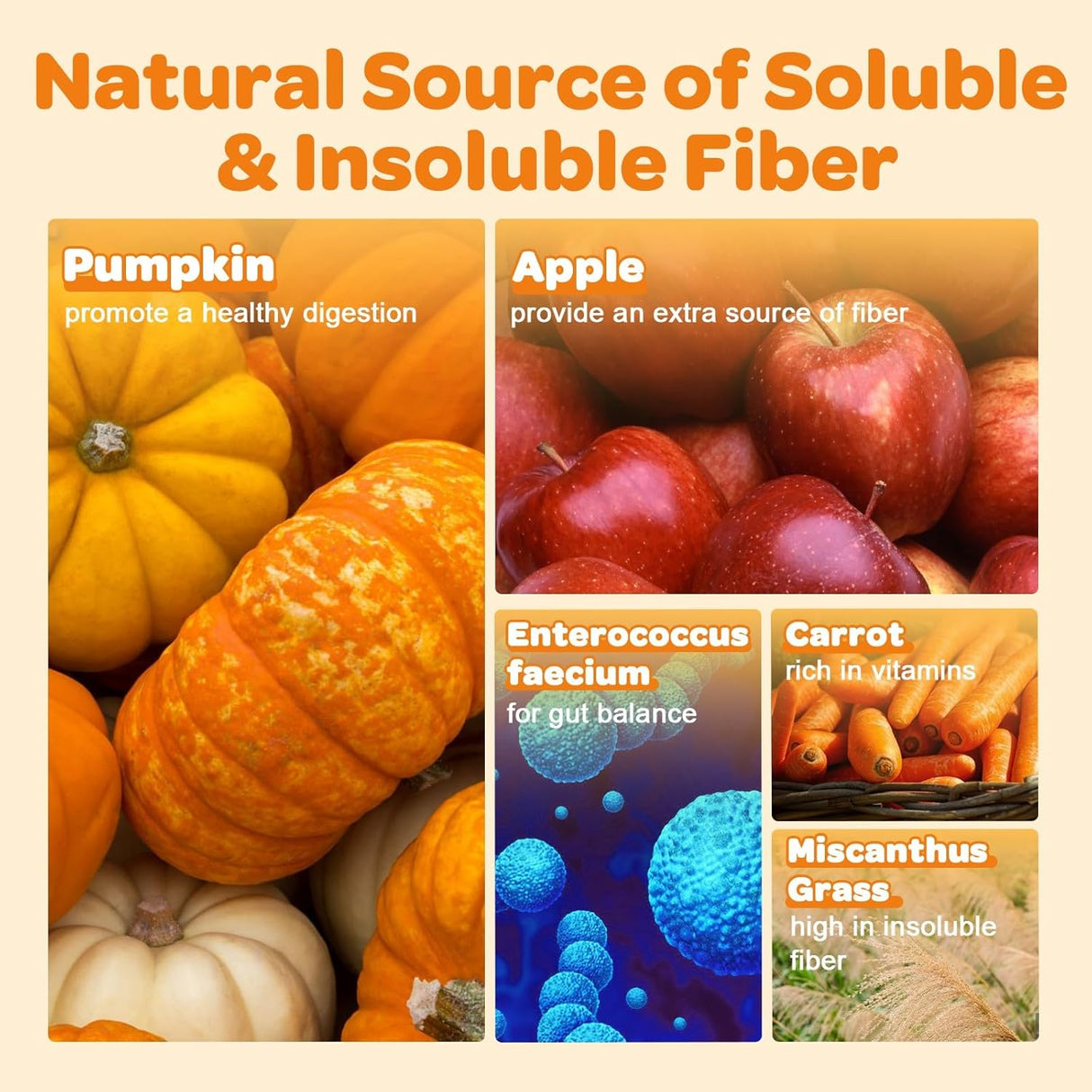 ZEBORA Pumpkin for Dogs 60 Servicios 300Gr.