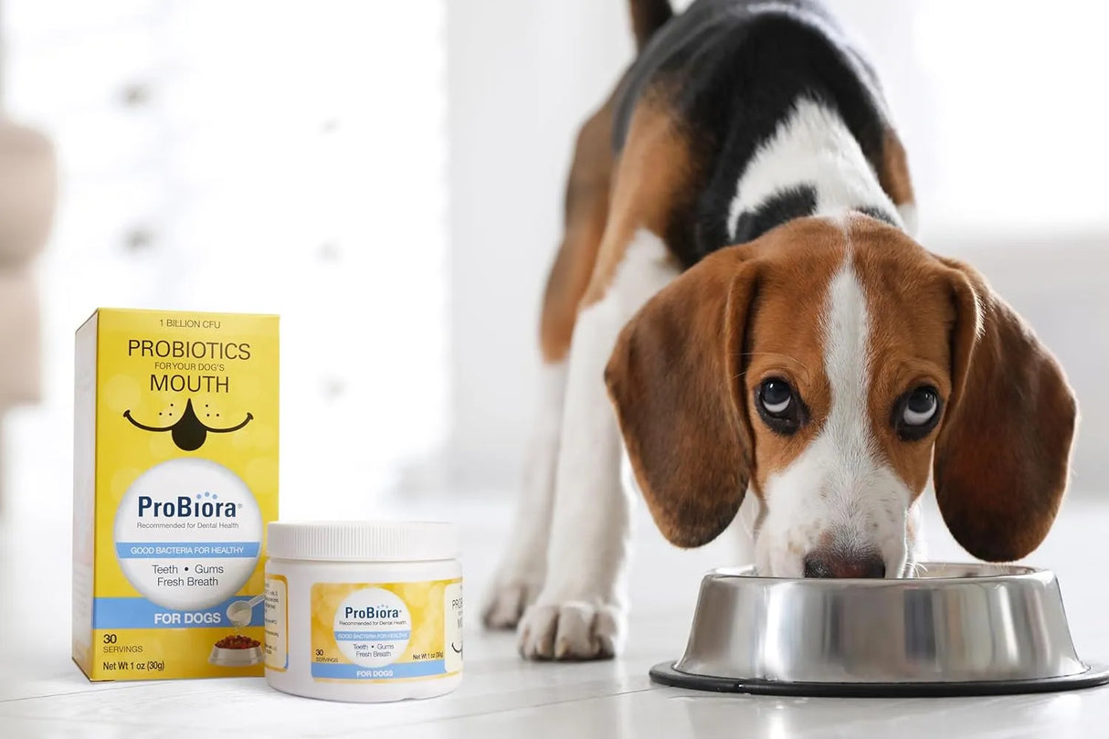 PROBIORA - ProBiora Health Dog Probiotic Supplement 30 Servicios 30Gr. 2 Pack - The Red Vitamin MX - Probióticos Para Perros - {{ shop.shopifyCountryName }}