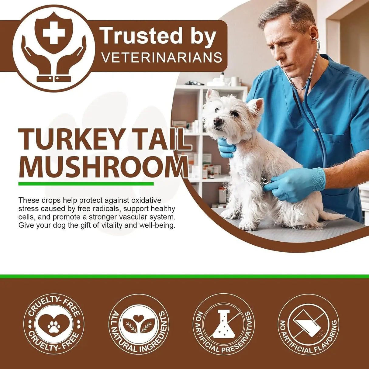 VOSIFSDIY - VOSIFSDIY Turkey Tail Mushroom for Dogs 60Ml. - The Red Vitamin MX - Suplementos Herbales Para Perros - {{ shop.shopifyCountryName }}