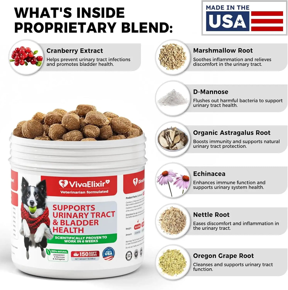 VIVAELIXIR - VivaElixir Dog UTI Treatment Cranberry & D-Mannose for Dog 150 Masticables - The Red Vitamin MX - Salud De Tracto Urinario Para Perros - {{ shop.shopifyCountryName }}