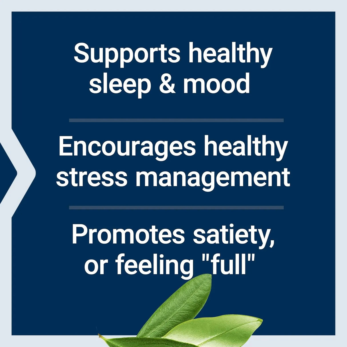 LIFE EXTENSION - Life Extension Optimized Tryptophan Plus 1000Mg. 90 Capsulas - The Red Vitamin MX - Suplementos Alimenticios - {{ shop.shopifyCountryName }}