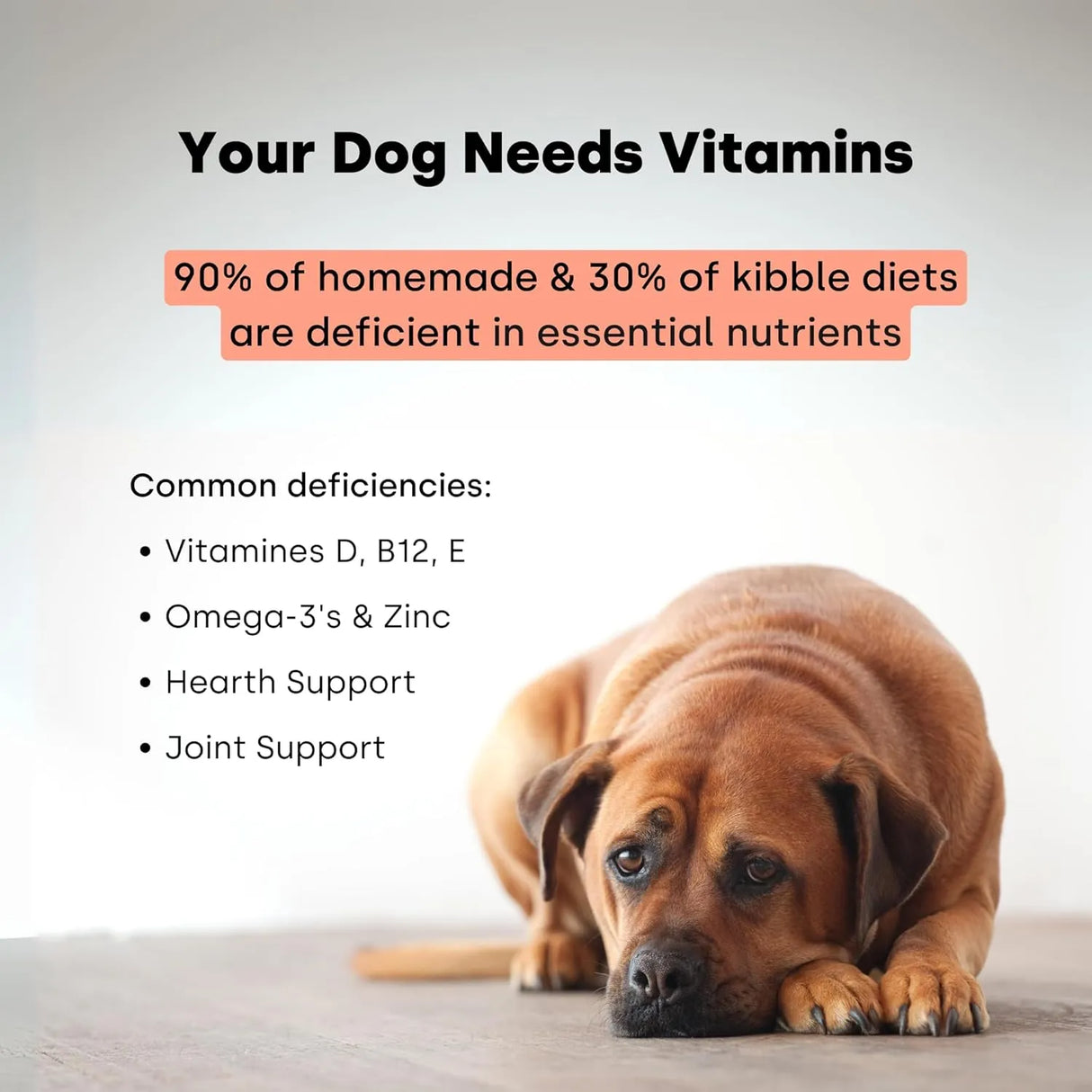 KAYODE - Kayode Daily Multi Dog Multivitamin & Superfood Chew 90 Masticables - The Red Vitamin MX - Multivitamínicos Para Perros - {{ shop.shopifyCountryName }}